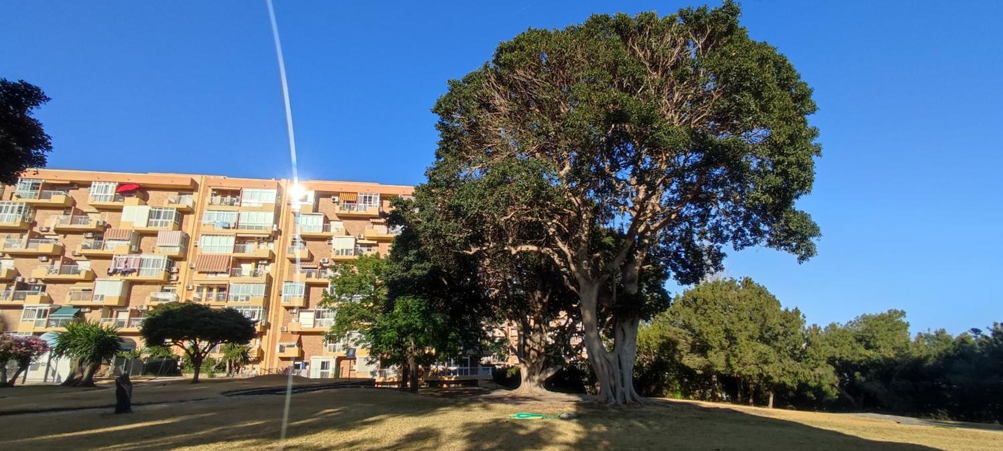 Aguila, Arroyo De La Miel, Apartament *